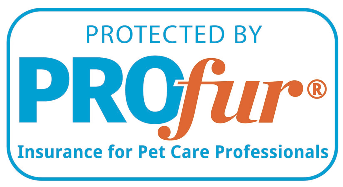 Insurance for pet care professionals